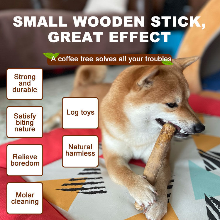 Factory Direct Sales Natural Environmentally Friendly Coffee Wood Dog Chew Stick Safe Dog Chew Toy Coffee Tree