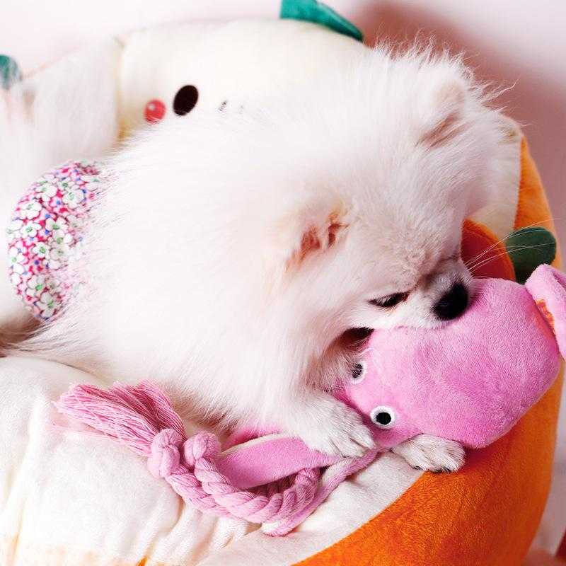 Hot Products Top Sellers Winter Plush Toy Pet Fashion Designs Octopus Plush Toy Cute Kitten Plush Toy Stuffed Animal Pet