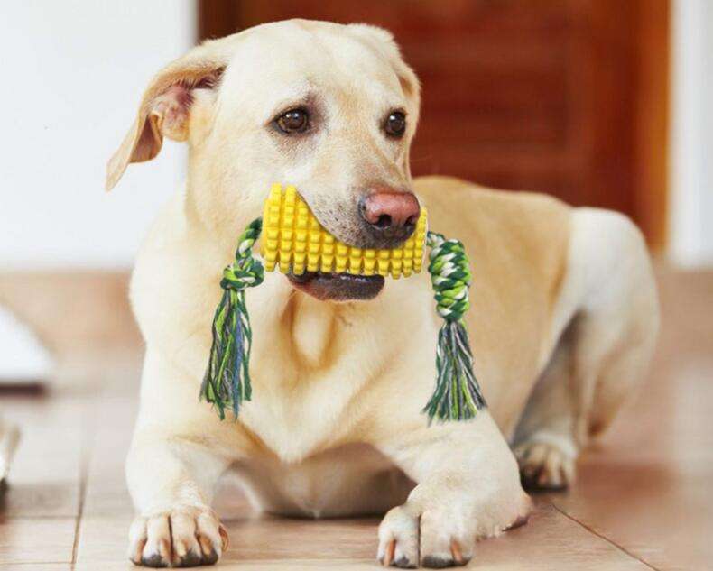 2023 Hot Sale Custom Puppy Teeth Chew Corn Stick Toy Puppy Teeth Chew Corn Stick Toy For Small Meduium Tpr Rope Dog Toys