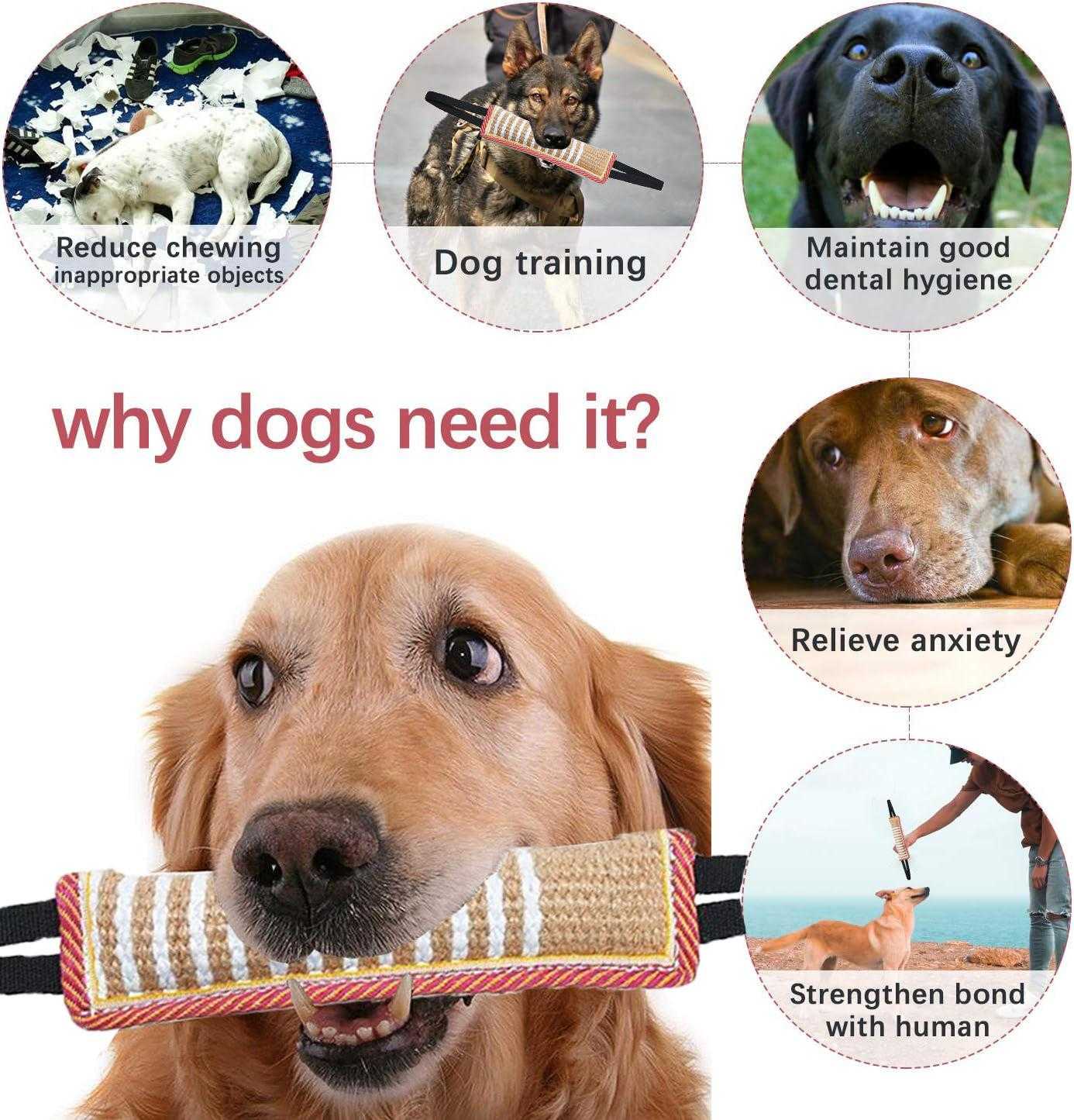 2023 New Product Squeaky Pet Dog Interactive Chew Toy Puppy Bite Squeaky Dog Toy Bite Chew Squeaky Pet Dog Chew Toy Bite