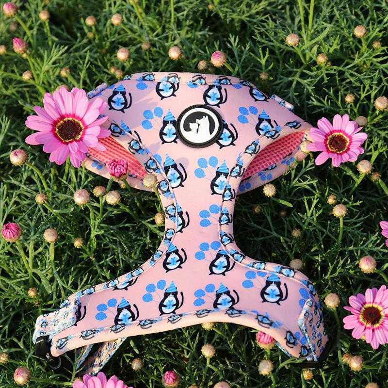 Personalized Pattern Neoprene Designer Luxury Cat Dog Harness Air Layer Dog Harness Set