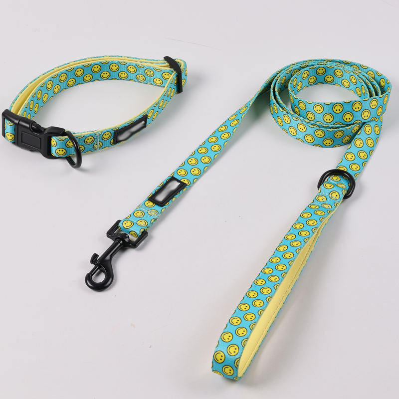 Pet Accessories Adjustable Comfortable Dog Harness Pattern Small Dog Harness Full Set