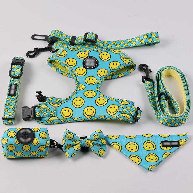 Dog Wear Accessories Birthday Gift Personalized Dog Harness Dog Collar Alternative Suitable For All Small Medium Breeds