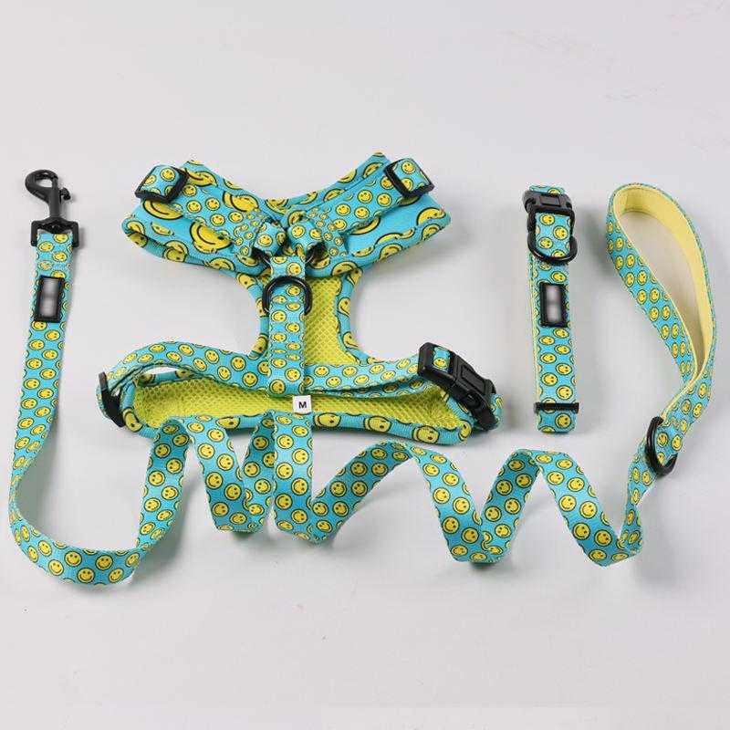 Personalised Luxury Green Dog Harness+leash+collar+bow Tie+poo Bag Holder Set With Logo