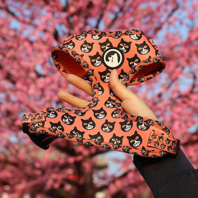 Customized Plain Colors Brown Pvc Private Label Corduroy Dog Strap "h" Harness No Pull For Small Medium Pet