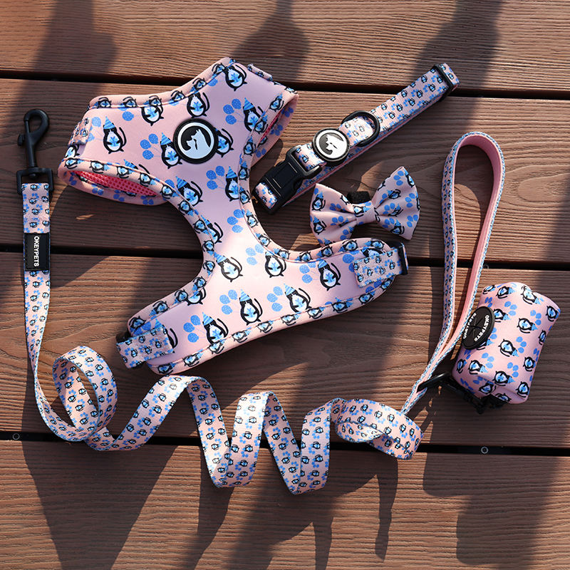 Pet Supplier Custom Logo Step In Dog Breathable Vest Harness Leash Set With Sublimation Printing