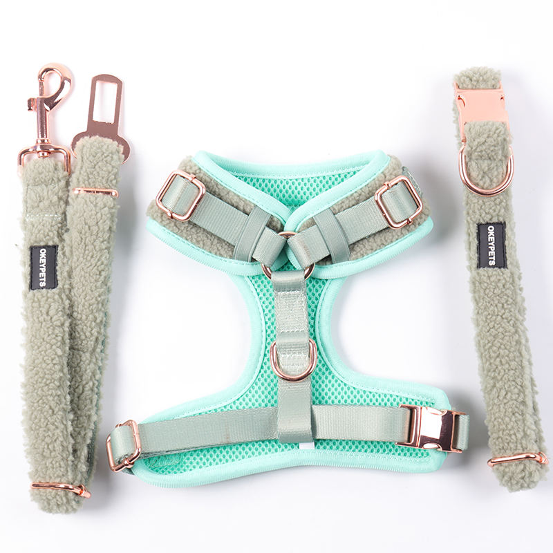 Custom Green Colored Beautiful Design Durable Collar Poop Bag Holder Bow Tie Soft Warm Dog Har Harness And Leash Set