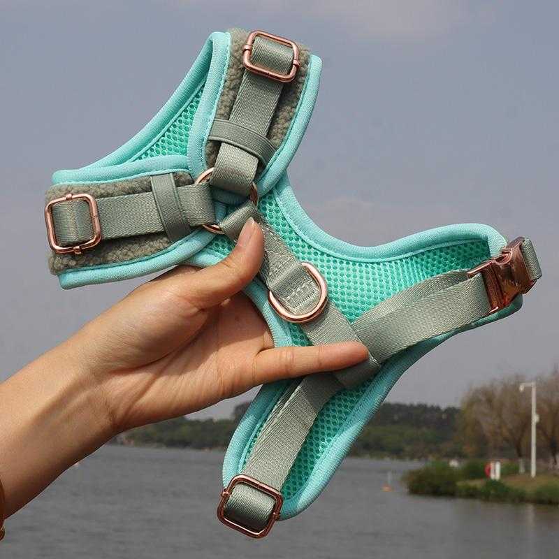 Custom Green Colored Beautiful Design Durable Collar Poop Bag Holder Bow Tie Soft Warm Dog Har Harness And Leash Set