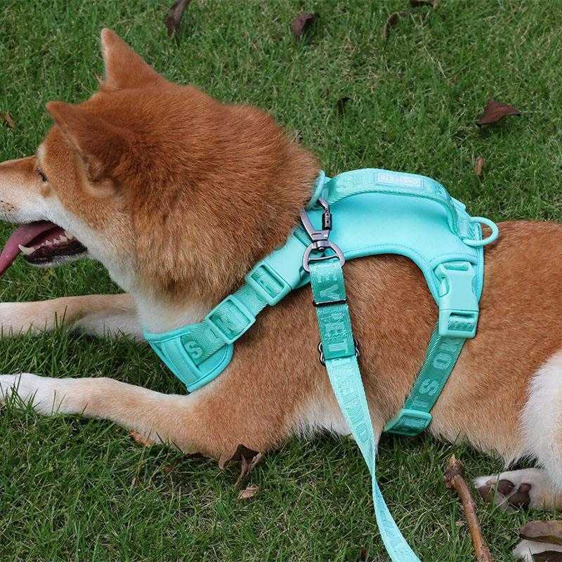 Custom Strong Luxury Adjustable Logo Webbing Green Blank Heavy Duty Nylon Dog Harness Backpack With Handle