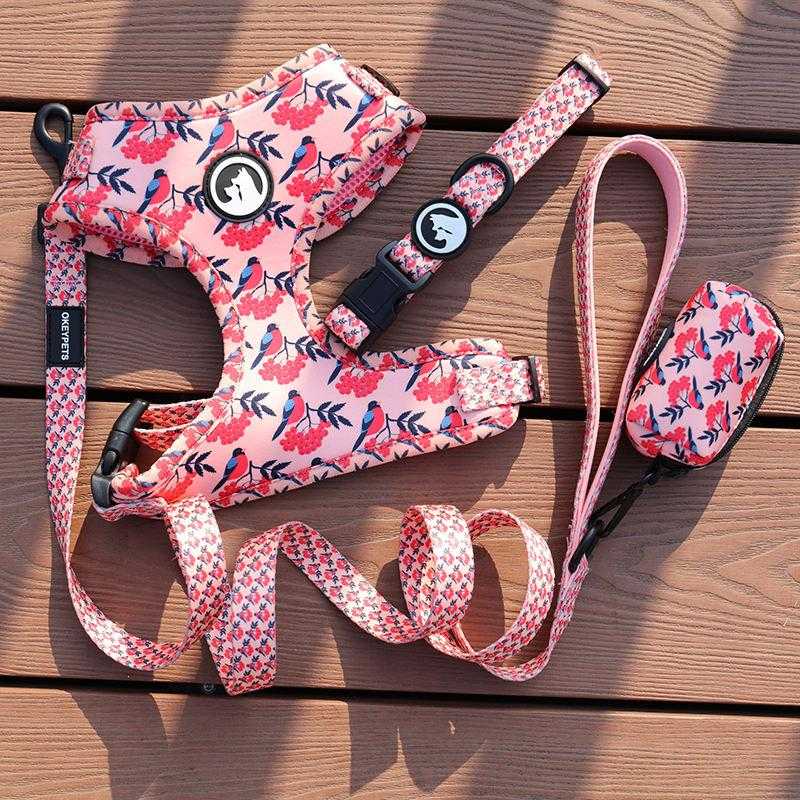Luxury Pet Custom Harness Vest Comfortable Adjustable Dog Collar Leash Designers Neoprene Air Mesh Dog Harness Set