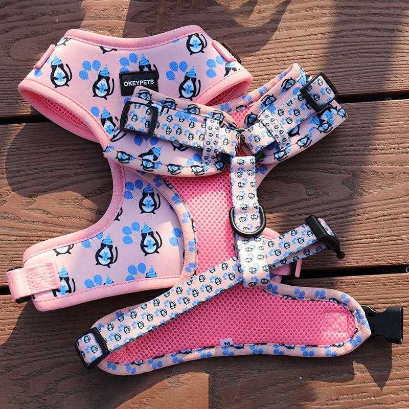 Luxury Pet Custom Harness Vest Comfortable Adjustable Dog Collar Leash Designers Neoprene Air Mesh Dog Harness Set