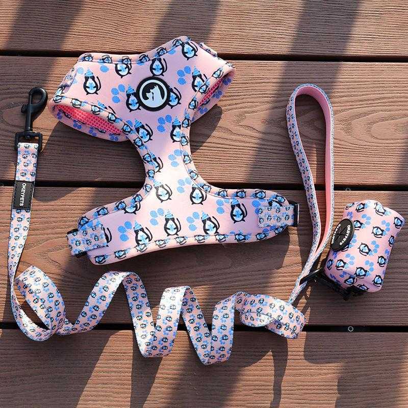 Luxury Pet Custom Harness Vest Comfortable Adjustable Dog Collar Leash Designers Neoprene Air Mesh Dog Harness Set