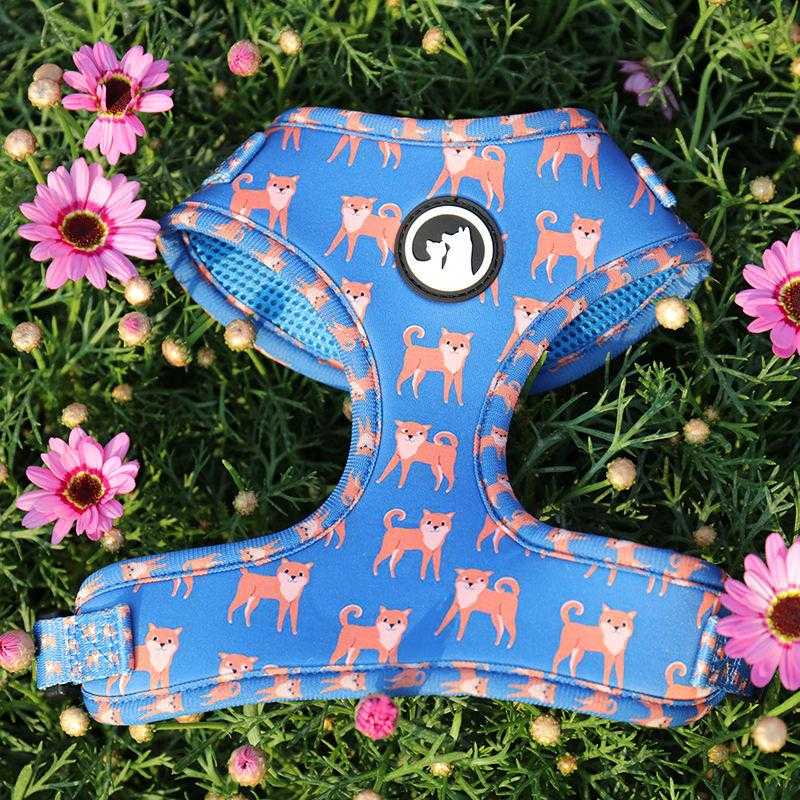 Pet Vest Personalized Sublimation Design Pattern Luxury Sports Air Mesh Padded Dog Harness Set