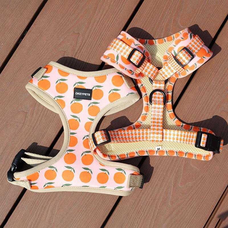 Designer Pet Cat Harness Vest Custom Neoprene Mesh Padded Dog Harness Custom With Breakaway Buckle