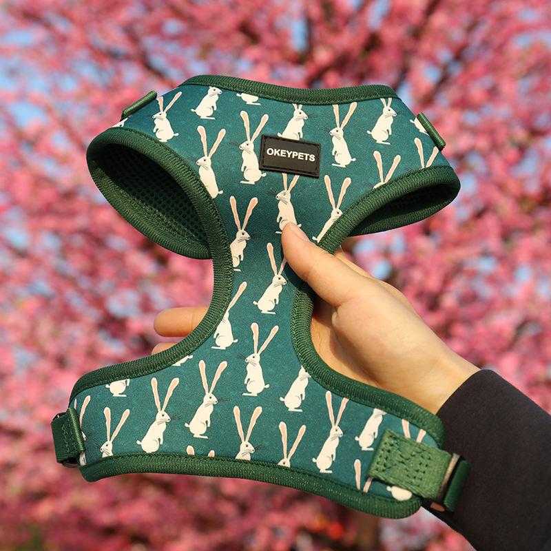 Soft Custom Colorful Puppy Adjustable Pet Dog Harness Dog Harness Set