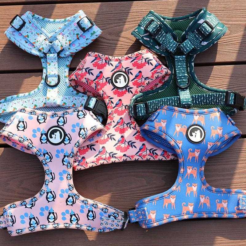 Oem/odm Flower Pattern Harness Pet Leash Dog Chest Neoprene Custom Logo Clip Dog Harness Set