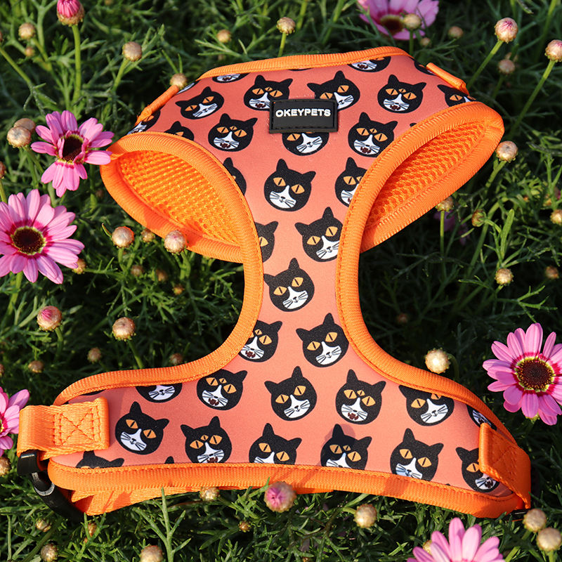 Oem/odm Flower Pattern Harness Pet Leash Dog Chest Neoprene Custom Logo Clip Dog Harness Set