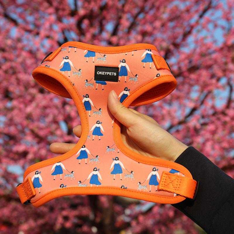 Low Moq Oem Custom Designer Comfortable Adjustable Breathable Neoprene Padded Dog Harness Vest