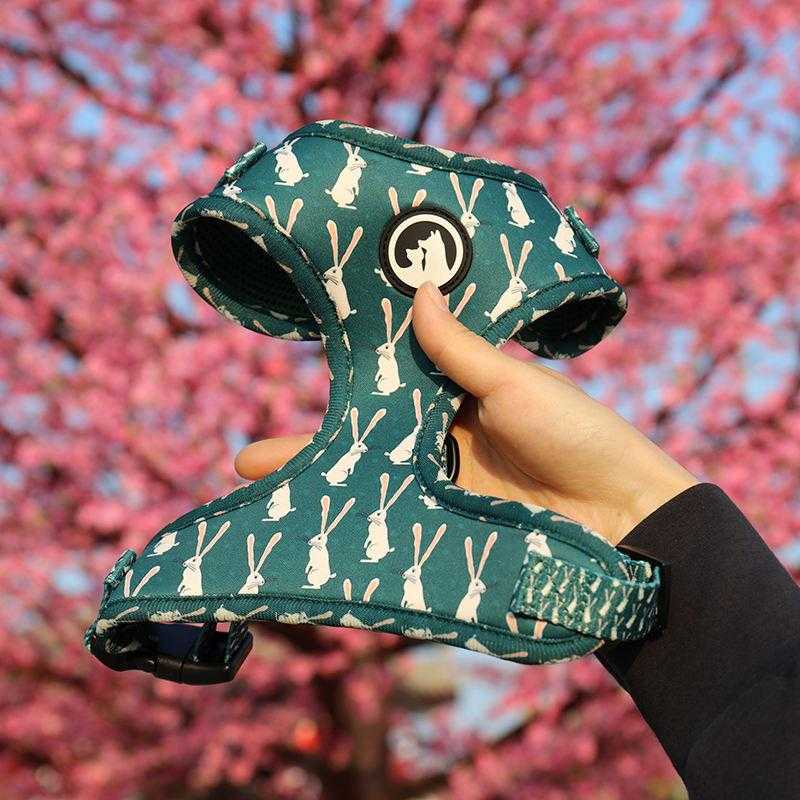 Low Moq Oem Custom Designer Comfortable Adjustable Breathable Neoprene Padded Dog Harness Vest