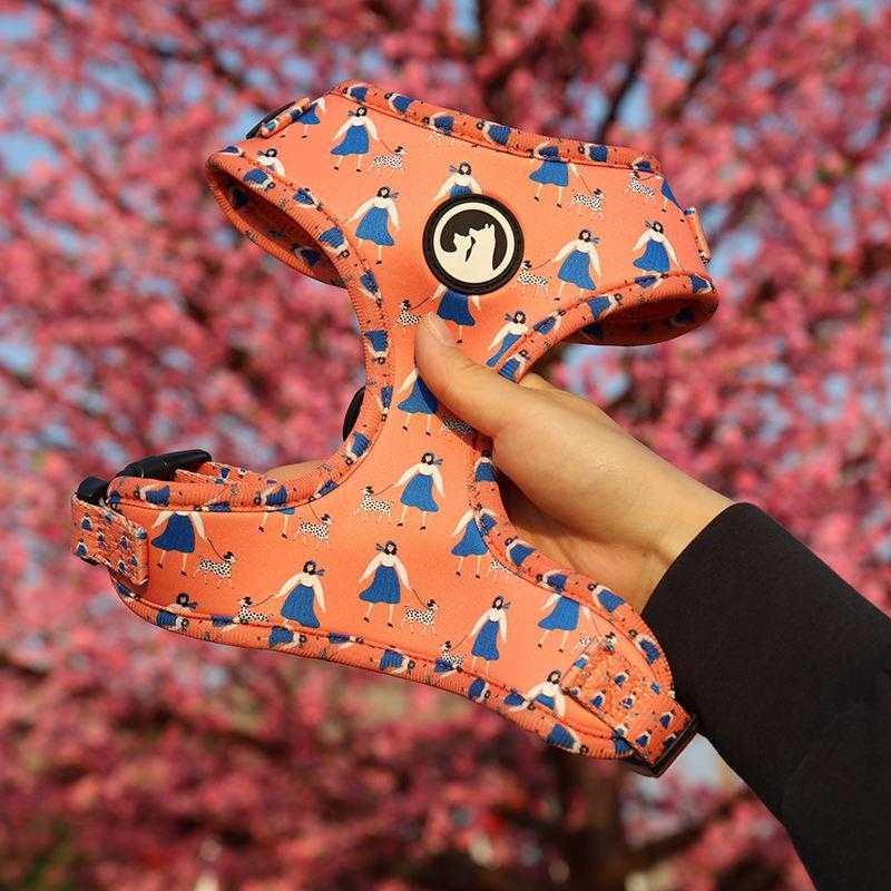 Low Moq Oem Custom Designer Comfortable Adjustable Breathable Neoprene Padded Dog Harness Vest