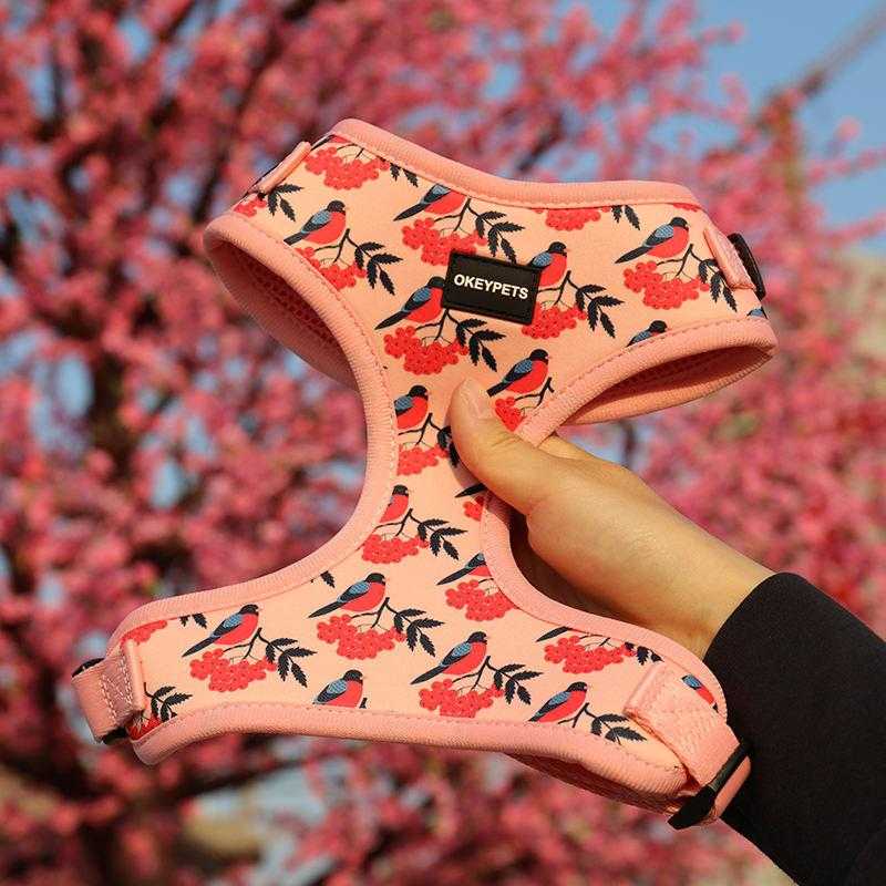 Low Moq Oem Custom Designer Comfortable Adjustable Breathable Neoprene Padded Dog Harness Vest