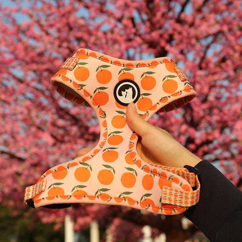 Dog Harness Manufacturers Soft Custom Personalized Solid Color Pink Sublimation Pet Dog Harness Set