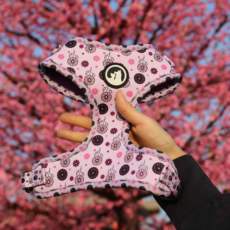 Dog Harness Manufacturers No Pull Soft Custom Logo Solid Color Sublimation Dog Leash And Harness Set