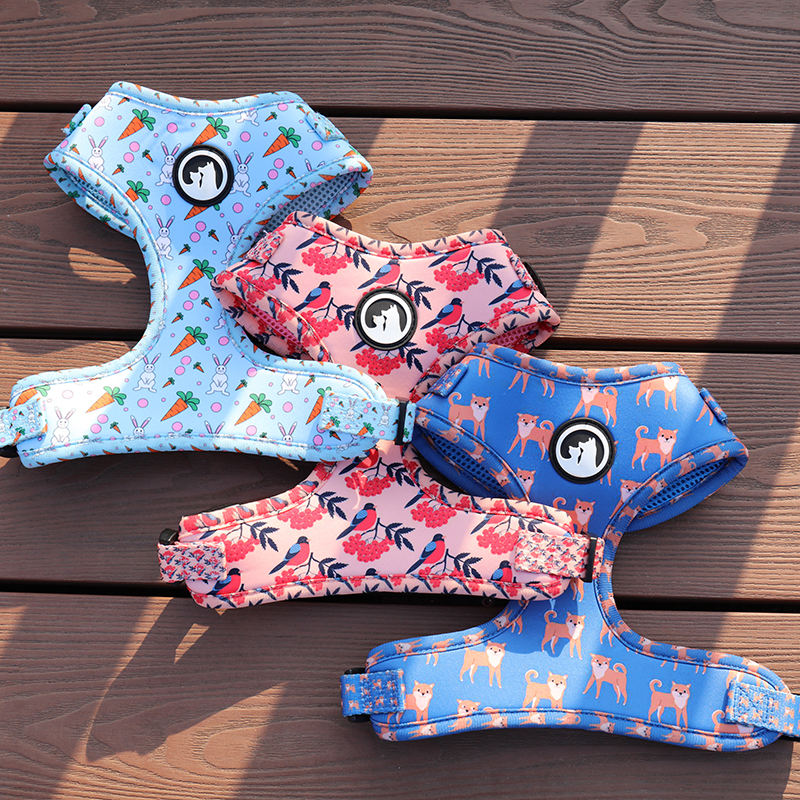 Personalized Pet Dog Collar And Leash Harness Set Custom Logo Summer Dog Harness Designs