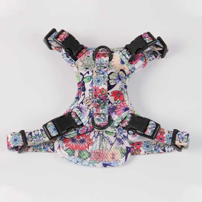 Customized Logo Webbing Strap Blank Pet Dog Vest Adjustable Soft Padded Mesh Nylon Design Large Dog Harness Leash Set