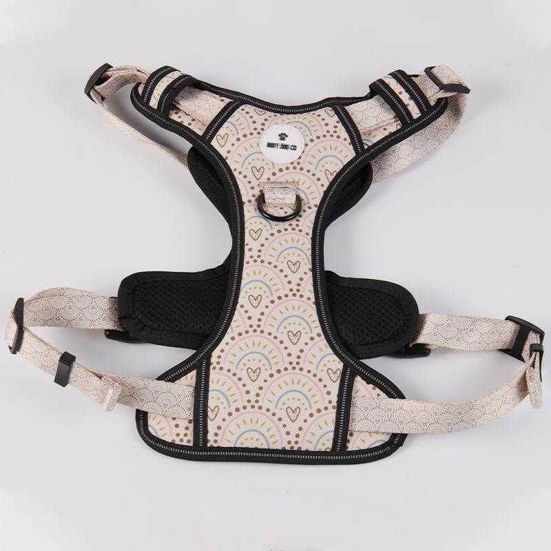 Pet Supplier Oxford Nylon Durable Fashion Oem Pattern Designer No Pull Big Dog Harness Vest Set For Large Dogs