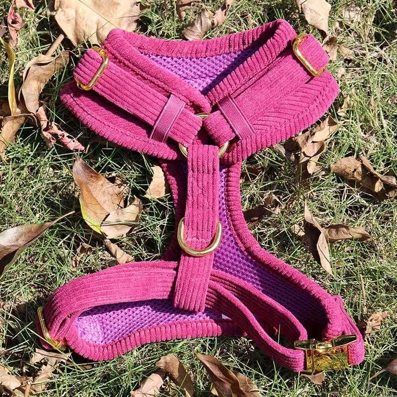 Pet Supplies Upgrade Personalized Adjustable Soft Pet Vest Service Custom 6pcs Printed No Pull Dog Collar And Harness Set