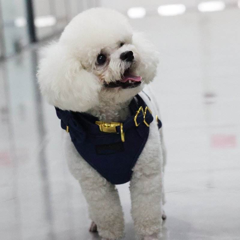 Custom Brand Logo Comfortable Breathable Winter No Pull Neoprene Dog Harness Cute Denim Fabric Dog Harness