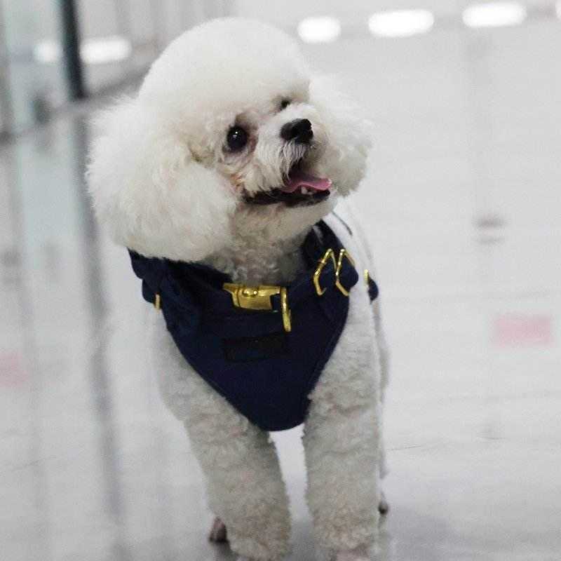 New Pet Supplies Puppy Dog Harness Custom Cute Dog Body Harness Personalized Adjustable Designer Denim Dog Harness