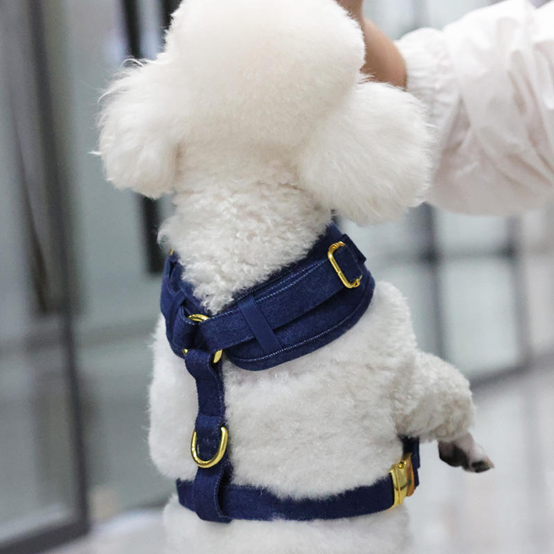 2022 High Quality Denim Material Durable Leash Bow Tie And Poop Bag Small Pet Dog Collar Harness Vest Set