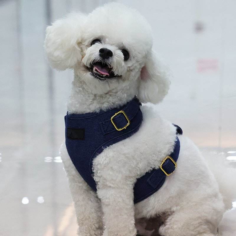 Best Hot Woman Sex Dog Pet Harness Collar Leash 2022 Front Clip Escape Proof Denim Dog Harness Set