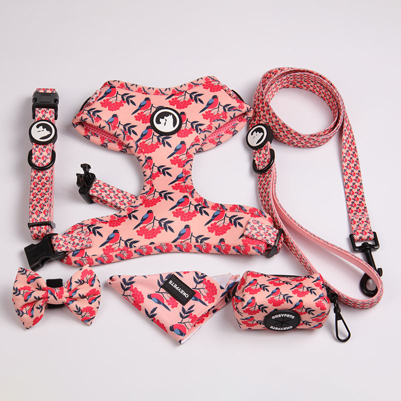 Custom Neoprene Padded Pet Neck Collar Cute Printing Dog Luxury Training Collar