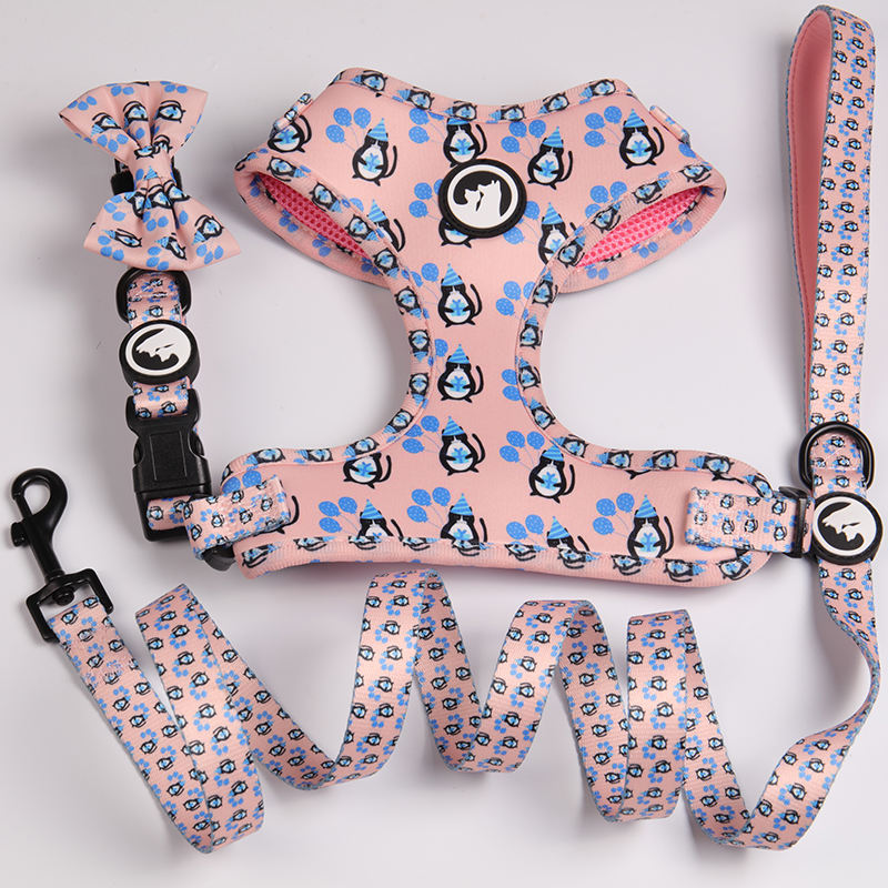 Bow Tie Pet Cat Collar Custom Design Neoprene Dog Smart Neck Collar Packaging