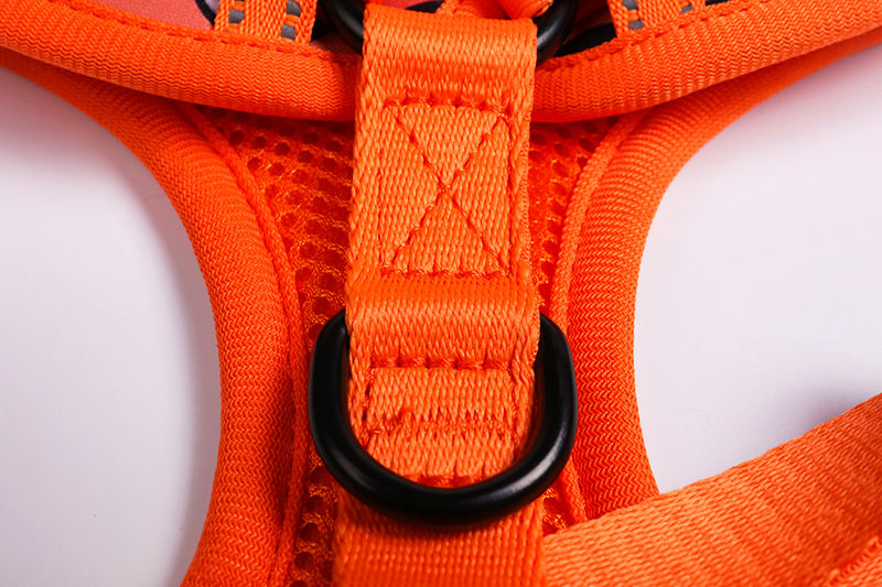 Personalized Logo No Pull Dog Harness Neoprene Designer Air Layer Padded Cat Dog Harness Set
