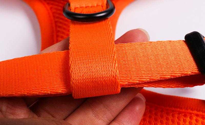 Personalized Logo No Pull Dog Harness Neoprene Designer Air Layer Padded Cat Dog Harness Set
