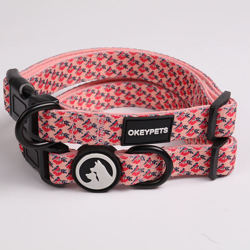 Adjustable Neoprene Designer Padded Customizable Sublimation Personalized Pet Dog Collar And Leash Harness Set