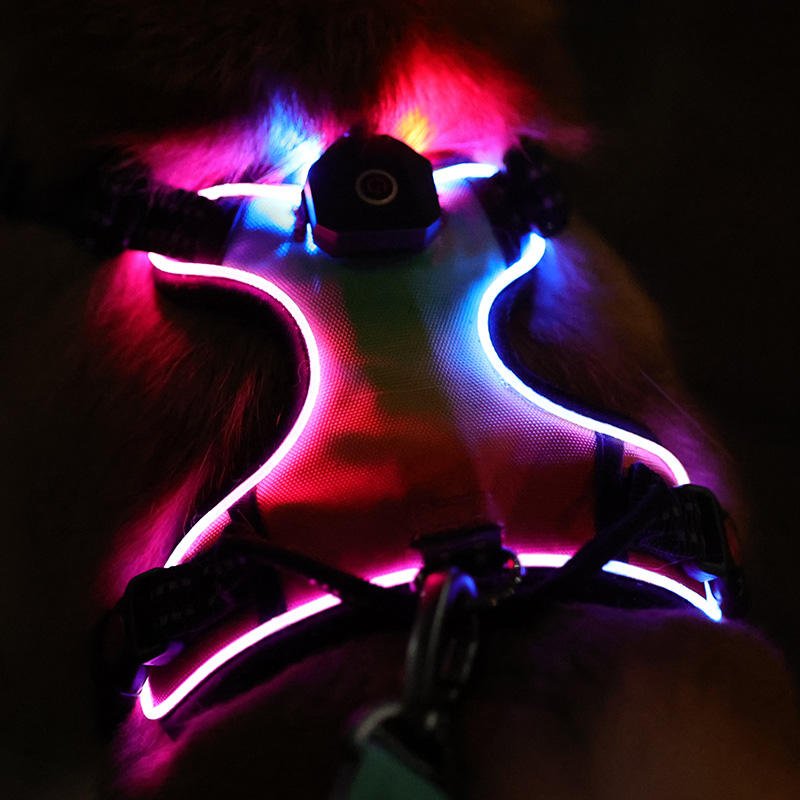 Rechargeable Adjustable Water Resistant Led Light Up Lighted Reflective Dog Harness With Handle