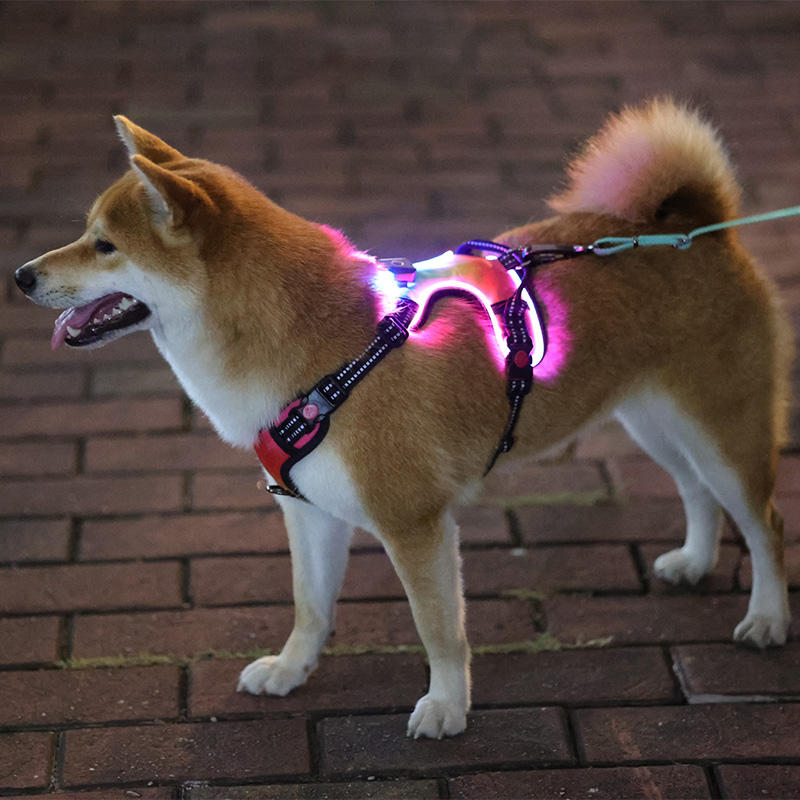 Led Light Battery Luminous Pet Dog Safety Waterproof Highly Reflective Vest Harness