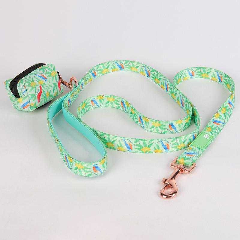 Wholesale Dog Harness Set Pet Harness And Leash,Plain Color Foam Handle Polyester Pet Harness And Leash
