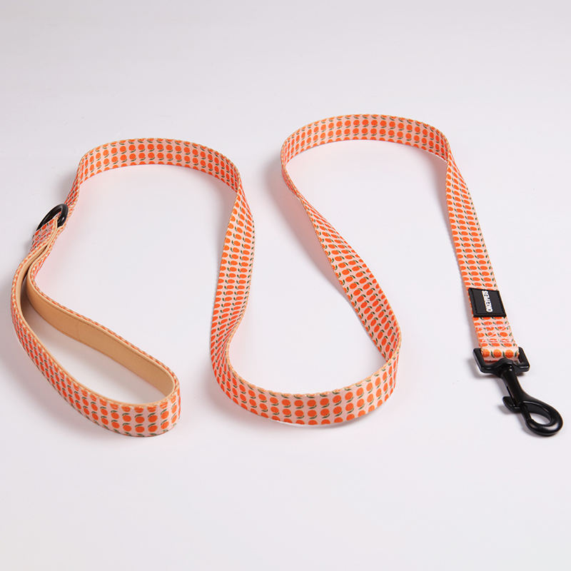 Custom Personalized Pattern Padded Printing Orange Pet Dog Collar And Lead Set Luxury