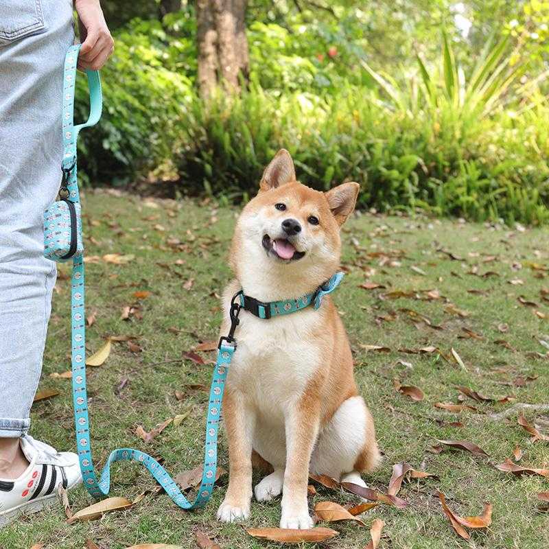 2022 Popular High Quality Polyester Printed Colorful Custom Comfortable Cat Dog Harness And Leash For Pet