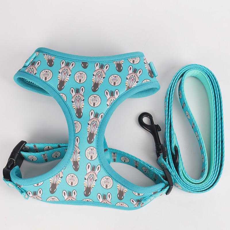 2022 Popular High Quality Polyester Printed Colorful Custom Comfortable Cat Dog Harness And Leash For Pet