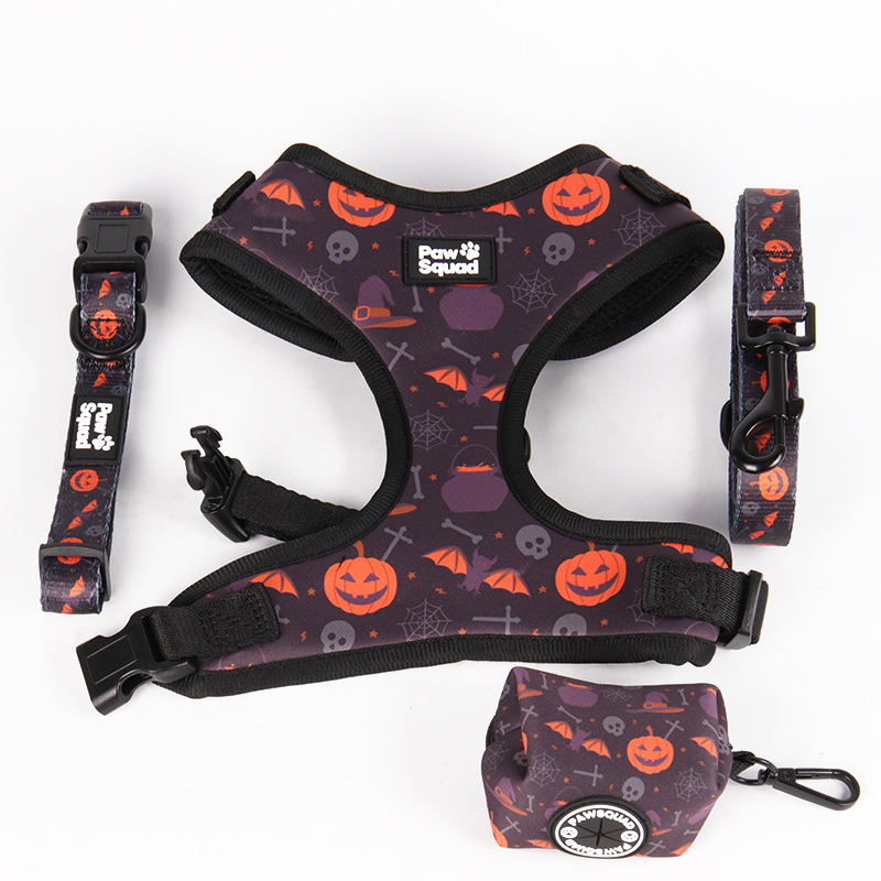 2022 Popular High Quality Polyester Printed Colorful Custom Comfortable Cat Dog Harness And Leash For Pet