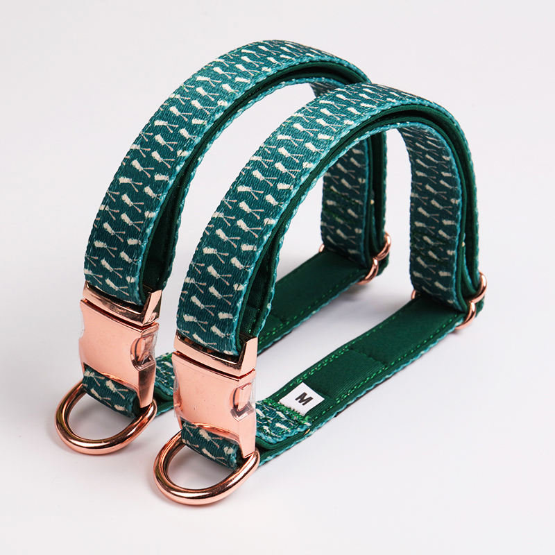 Luxury Personalized Padded Printing Dog Pet Collar And Leash Set