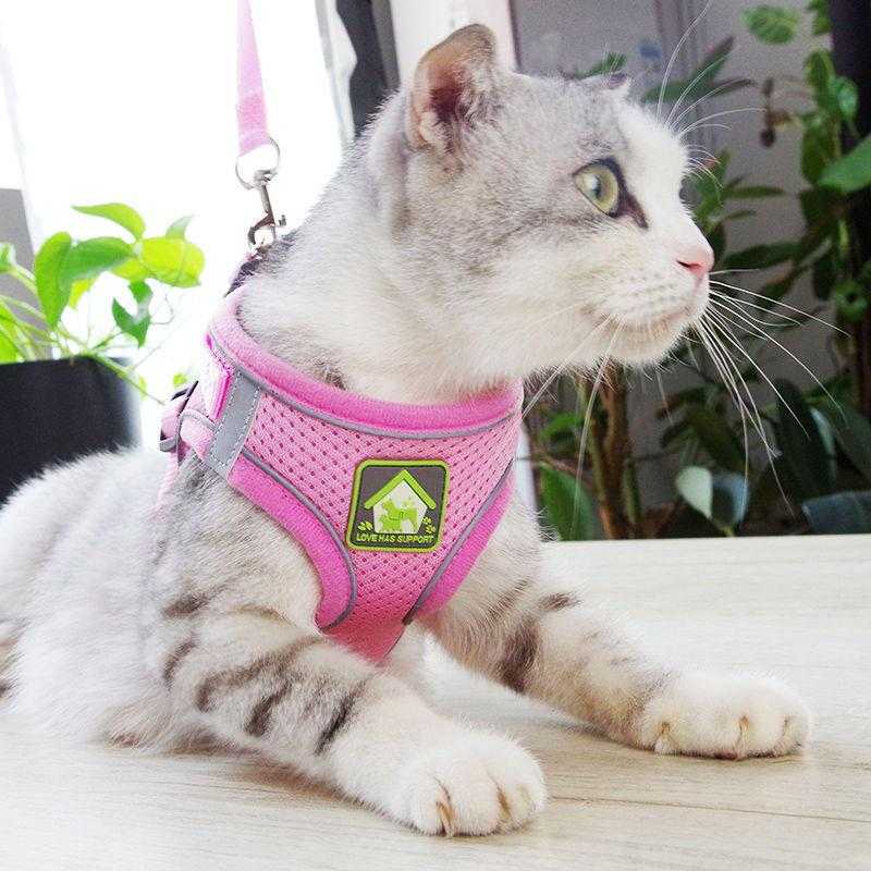 Popular Highly Quality Neoprene Sublimation Pattern Adjustable Reflective Dog Harness