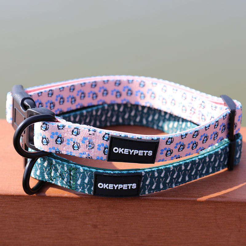 Wholesale New Releases Custom Designers Reflective Dog Collar,New Cute Fancy Design Custom Pattern Collars For Pet
